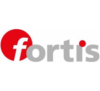Fortis Quergriff-Schraubendreher für TORX T20 x 100 mm