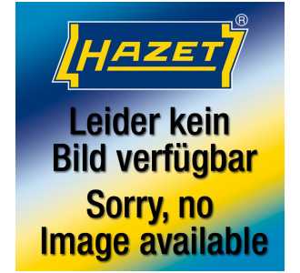 Hazet 2-Komponenten Weichschaum-Einlage 163-595L, 342 mm x 172 mm
