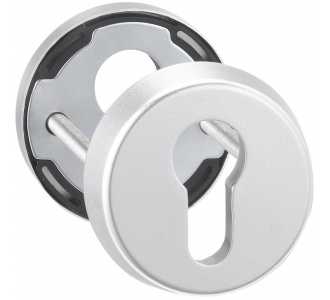 Dieckmann Haustür-Schutz-Schlüsselrosette 6533,PZ,RH12,edelstahl bis TS=88mm