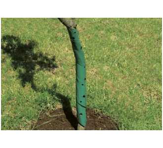 floraworld Baumschutzspirale 2er, 60 cm
