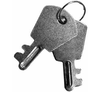 Projahn 2 Schlüssel zu Proficraftkoffer (8681-8685 + 4963-01)